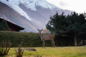 Chalet la Pagode, vue Mont-Blanc et jardin privé